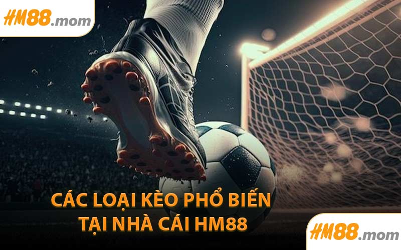 Các loại kèo phổ biến tại nhà cái HM88
