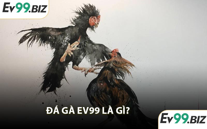 Đá gà EV99 là gì?