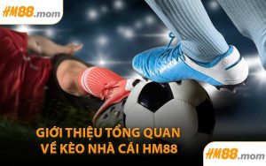 Giới thiệu tổng quan về kèo nhà cái HM88