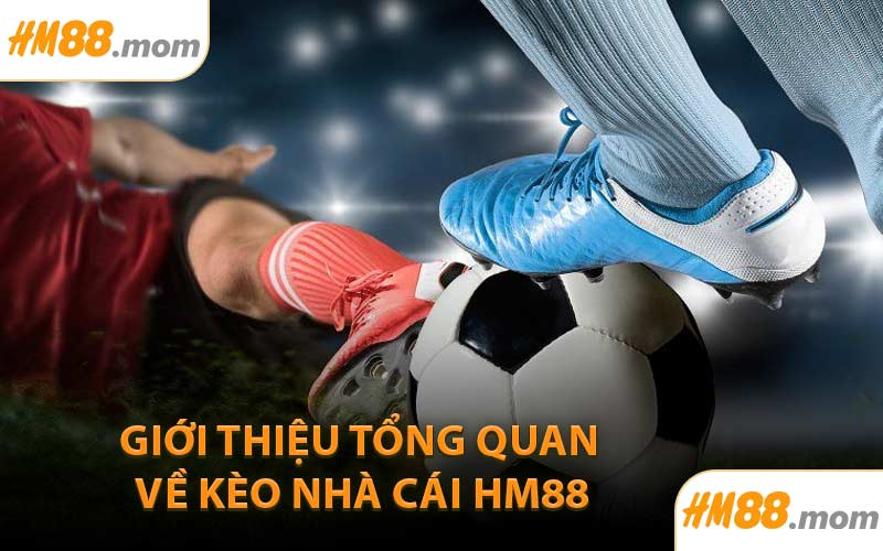 Giới thiệu tổng quan về kèo nhà cái HM88
