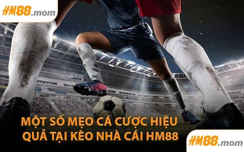 Một số mẹo cá cược hiệu quả tại kèo nhà cái HM88