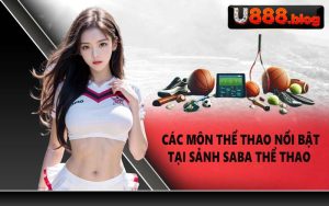 Các môn thể thao nổi bật tại sảnh Saba Thể Thao